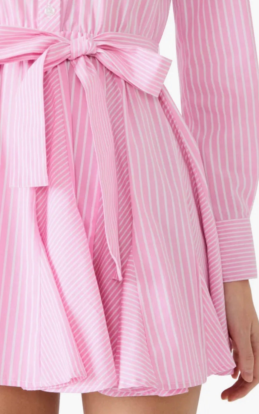 Lorelei Stripe Tie Waist Long Sleeve Minidress
