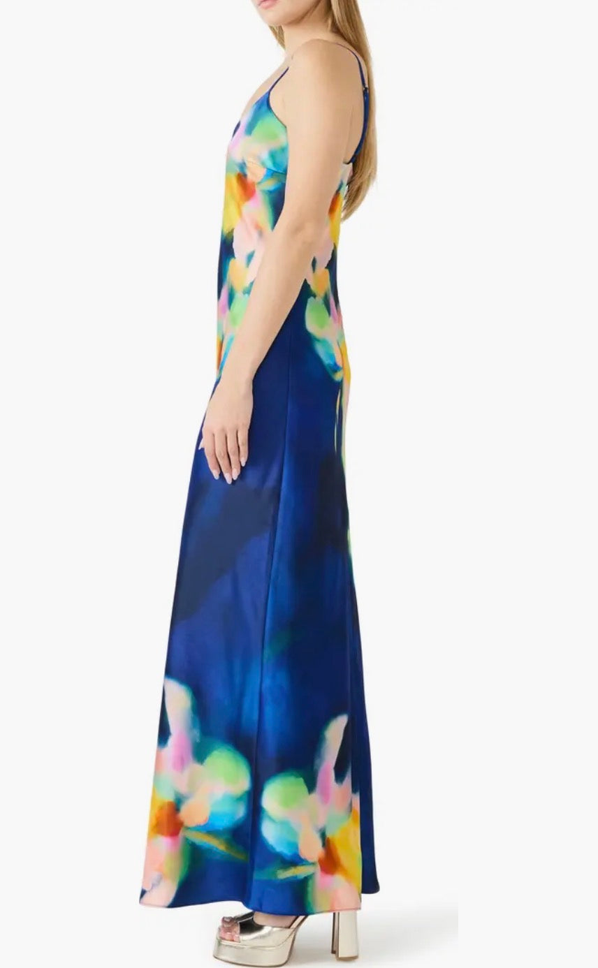 Atara Print Maxi Dress