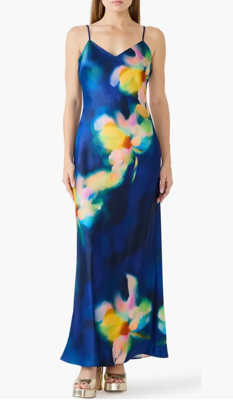 Atara Print Maxi Dress
