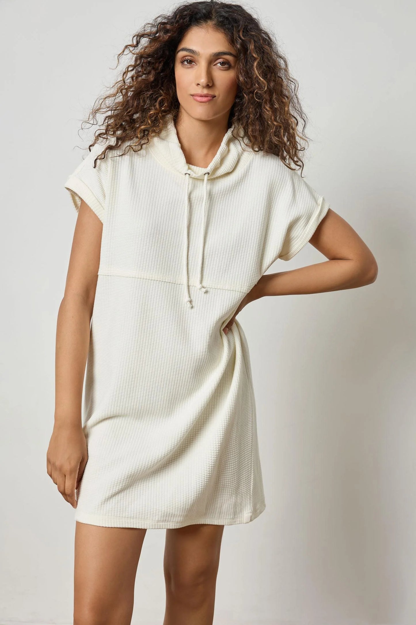 Roll Sleeve Seamed Dress