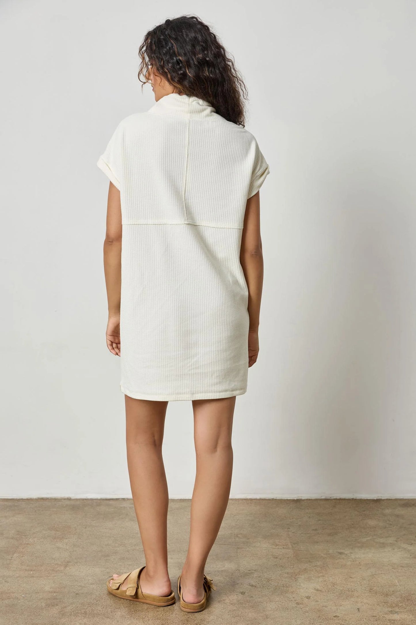 Roll Sleeve Seamed Dress