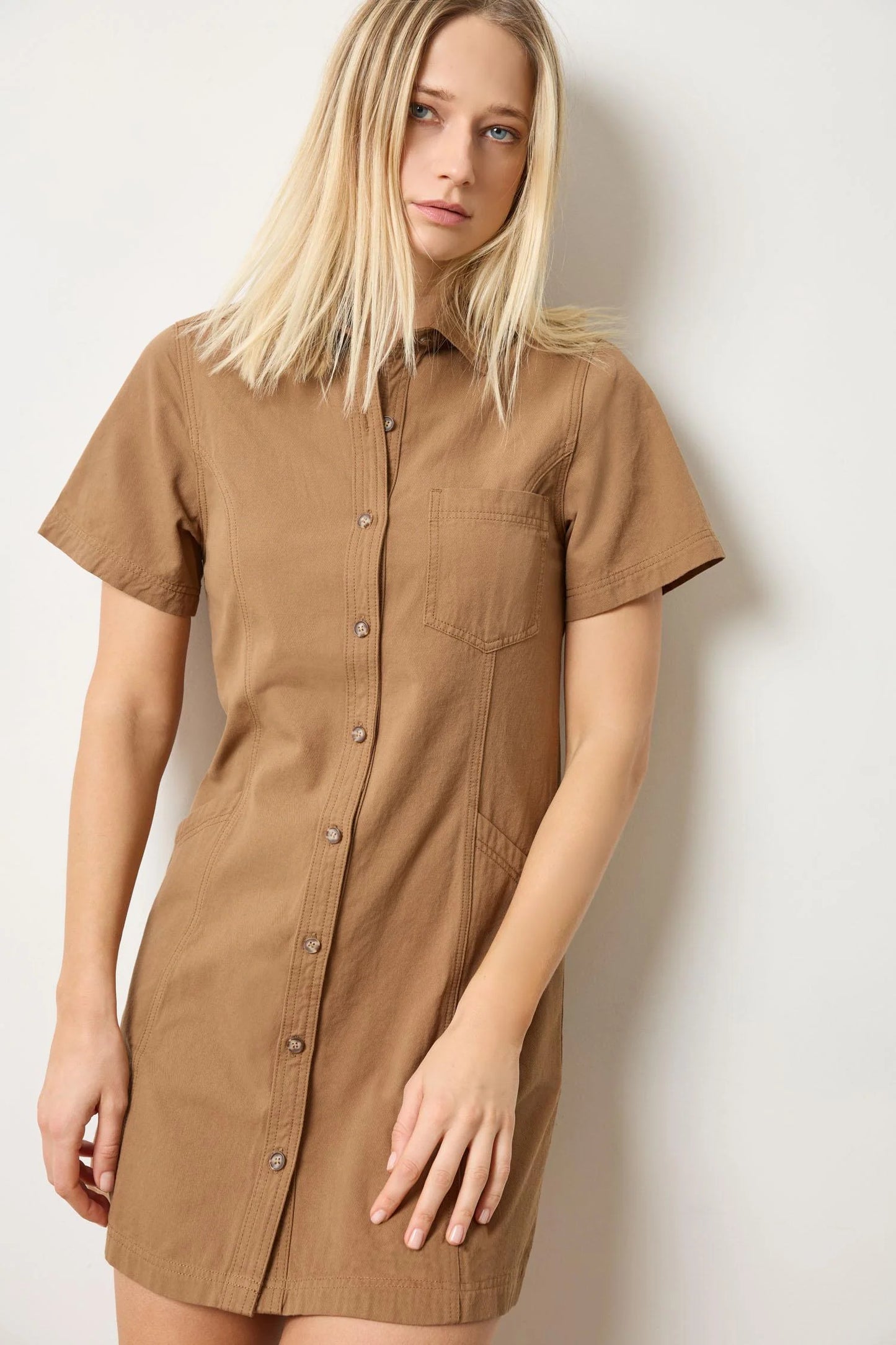 Twill Paneled Shirt Dress
